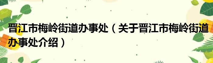 晋江市梅岭街道办事处 关于晋江市梅岭街道办事处介绍