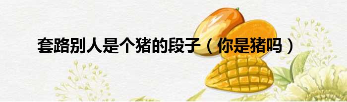 套路别人是个猪的段子 你是猪吗