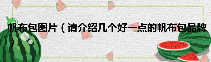 帆布包图片 请介绍几个好一点的帆布包品牌