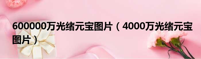 600000万光绪元宝图片 4000万光绪元宝图片
