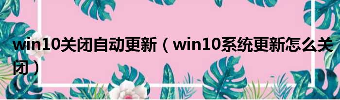 win10关闭自动更新 win10系统更新怎么关闭