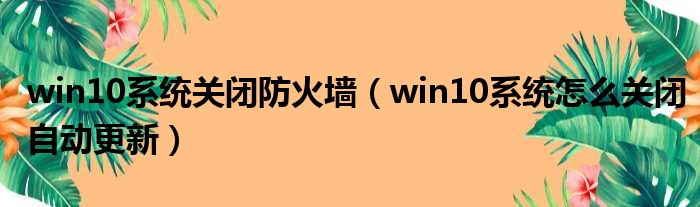 win10系统关闭防火墙 win10系统怎么关闭自动更新