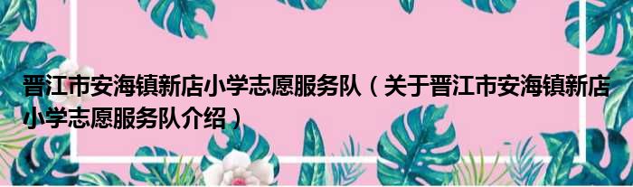 晋江市安海镇新店小学志愿服务队 关于晋江市安海镇新店小学志愿服务队介绍