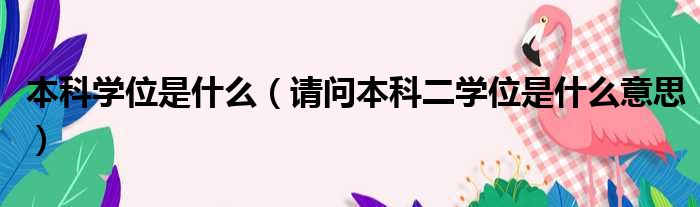 本科学位是什么 请问本科二学位是什么意思