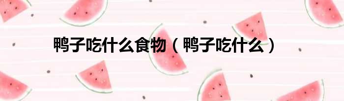 鸭子吃什么食物 鸭子吃什么