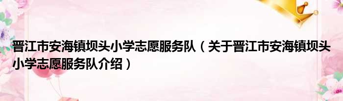 晋江市安海镇坝头小学志愿服务队 关于晋江市安海镇坝头小学志愿服务队介绍