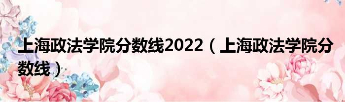 上海政法学院分数线2022 上海政法学院分数线