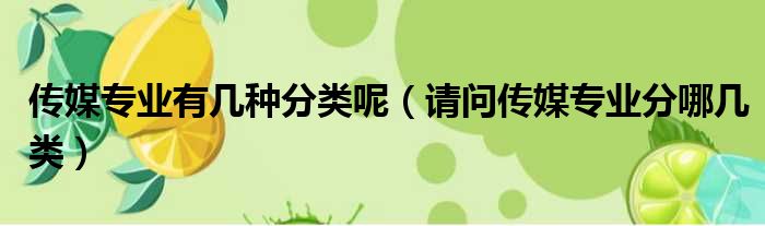 传媒专业有几种分类呢 请问传媒专业分哪几类