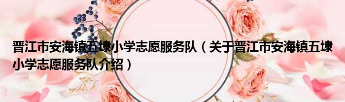 晋江市安海镇五埭小学志愿服务队 关于晋江市安海镇五埭小学志愿服务队介绍