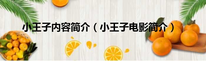 小王子内容简介 小王子电影简介