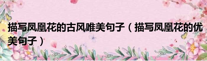 描写凤凰花的古风唯美句子 描写凤凰花的优美句子