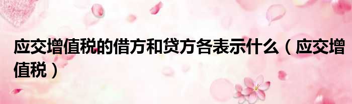 应交增值税的借方和贷方各表示什么 应交增值税