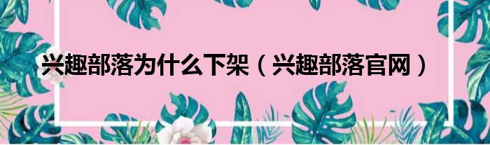 兴趣部落为什么下架 兴趣部落官网