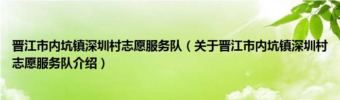 晋江市内坑镇深圳村志愿服务队 关于晋江市内坑镇深圳村志愿服务队介绍