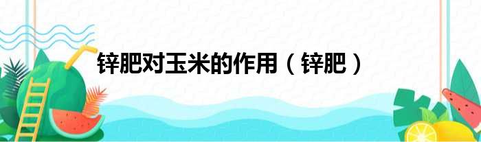 锌肥对玉米的作用 锌肥