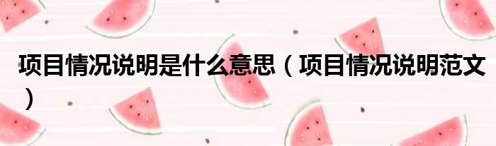 项目情况说明是什么意思 项目情况说明范文