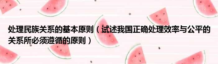 处理民族关系的基本原则 试述我国正确处理效率与公平的关系所必须遵循的原则