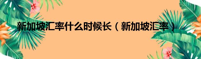 新加坡汇率什么时候长 新加坡汇率