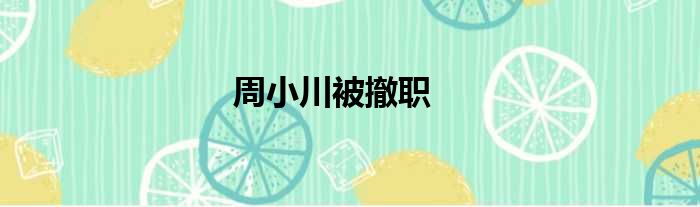 周小川被撤职