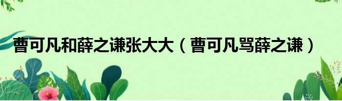 曹可凡和薛之谦张大大 曹可凡骂薛之谦