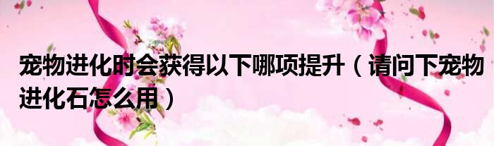 宠物进化时会获得以下哪项提升 请问下宠物进化石怎么用