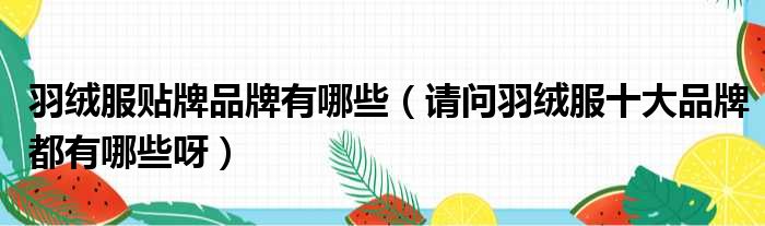 羽绒服贴牌品牌有哪些 请问羽绒服十大品牌都有哪些呀