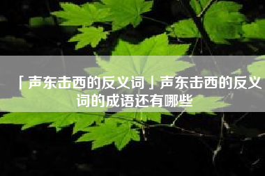  声东击西的反义词声东击西的反义词的成语还有哪些