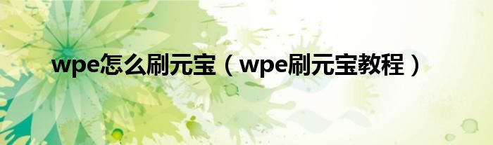 wpe怎么刷元宝 wpe刷元宝教程