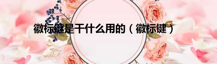 徽标键是干什么用的 徽标键