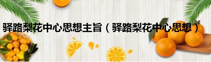 驿路梨花中心思想主旨 驿路梨花中心思想