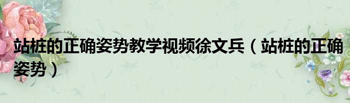 站桩的正确姿势教学视频徐文兵 站桩的正确姿势