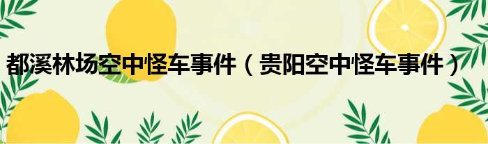 都溪林场空中怪车事件 贵阳空中怪车事件