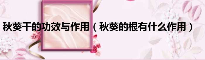 秋葵干的功效与作用 秋葵的根有什么作用