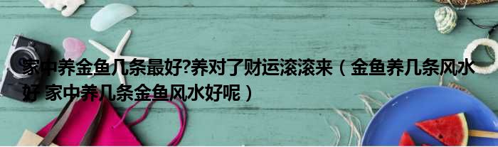家中养金鱼几条最好 养对了财运滚滚来 金鱼养几条风水好 家中养几条金鱼风水好呢