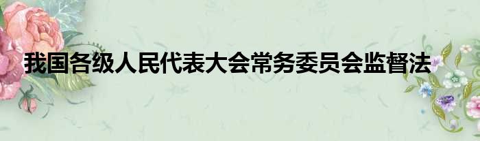 我国各级人民代表大会常务委员会监督法