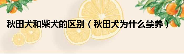 秋田犬和柴犬的区别 秋田犬为什么禁养