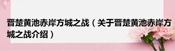 晋楚黄池赤岸方城之战 关于晋楚黄池赤岸方城之战介绍