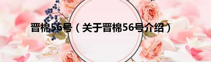 晋棉56号 关于晋棉56号介绍