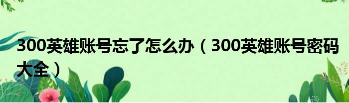 300英雄账号忘了怎么办 300英雄账号密码大全