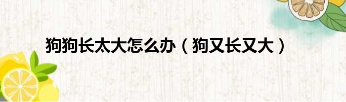狗狗长太大怎么办 狗又长又大