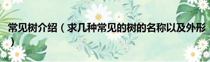 常见树介绍 求几种常见的树的名称以及外形