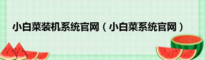 小白菜装机系统官网 小白菜系统官网