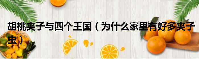 胡桃夹子与四个王国 为什么家里有好多夹子虫