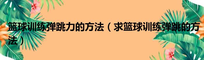 篮球训练弹跳力的方法 求篮球训练弹跳的方法