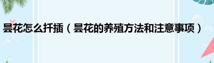 昙花怎么扦插 昙花的养殖方法和注意事项