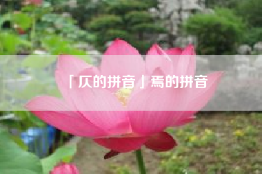  仄的拼音焉的拼音