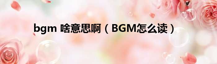 bgm 啥意思啊 BGM怎么读