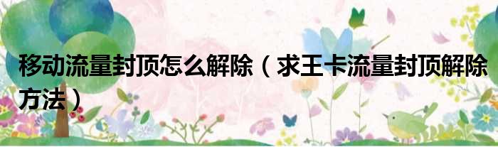 移动流量封顶怎么解除 求王卡流量封顶解除方法