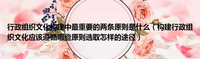 行政组织文化构建中最重要的两条原则是什么 构建行政组织文化应该遵循哪些原则选取怎样的途径