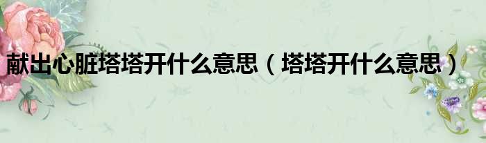 献出心脏塔塔开什么意思 塔塔开什么意思